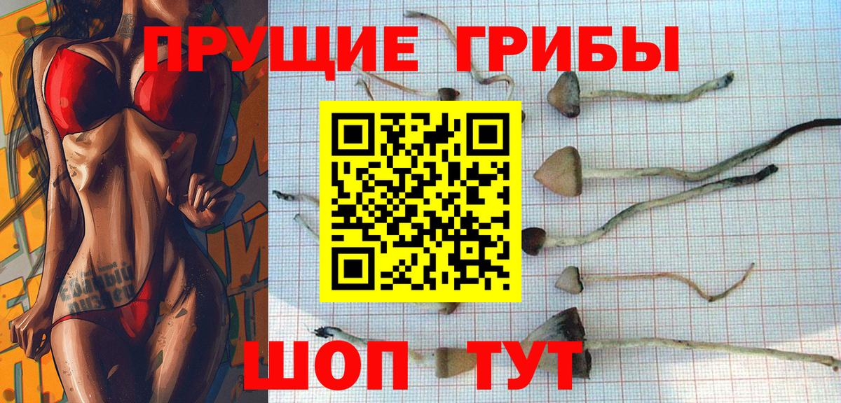 Галлюциногенные грибы ЛСД Вятские Поляны